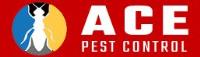Ace Pest Control Brisbane image 10